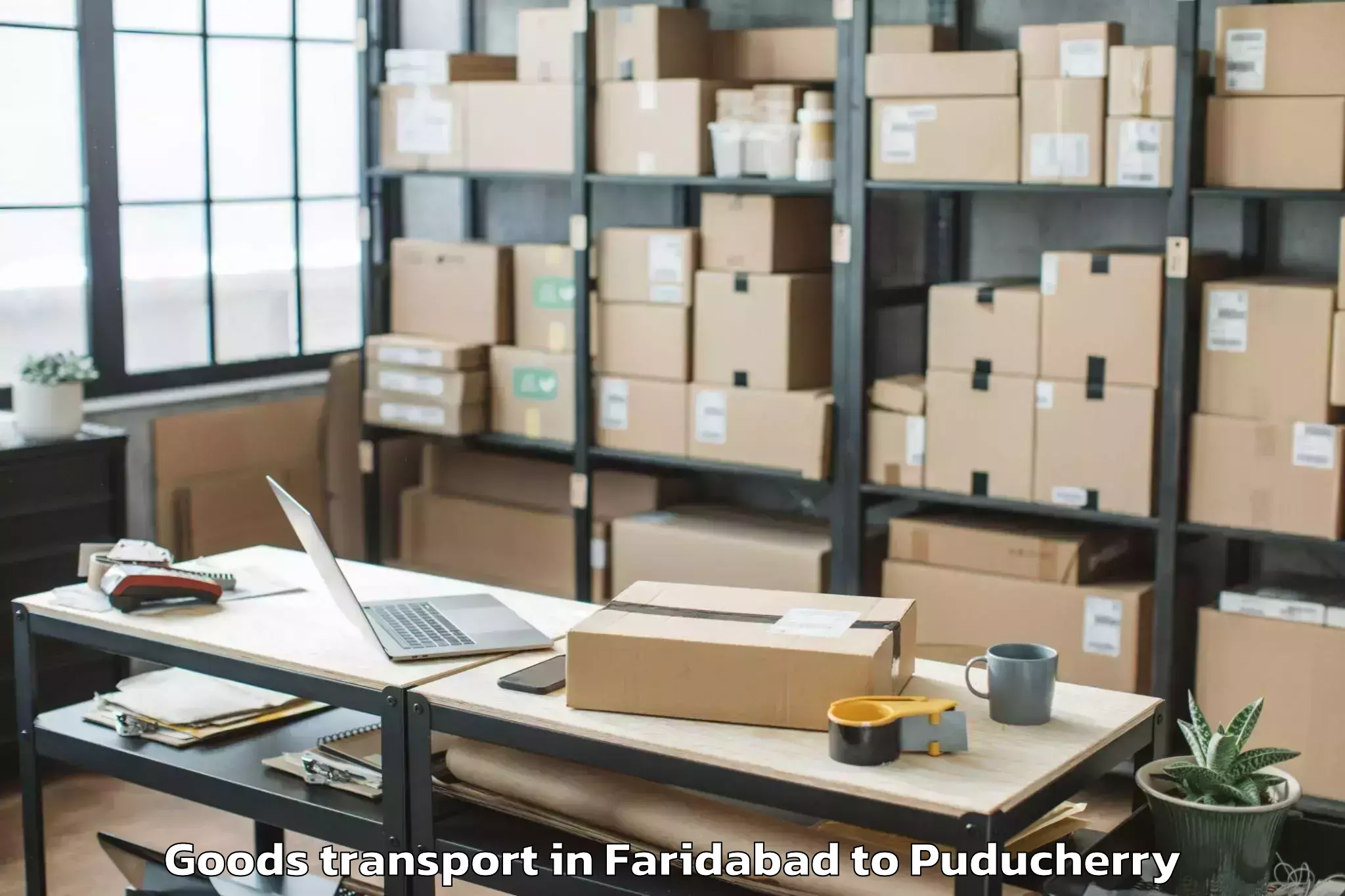 Expert Faridabad to Puducherry Goods Transport